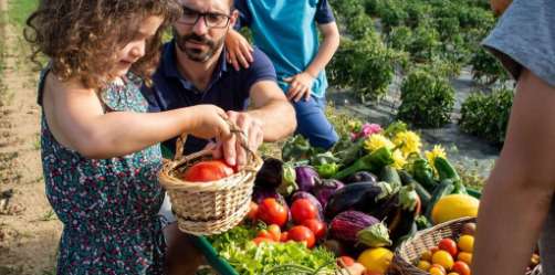 C'est l'été avec les légumes ratatouille 