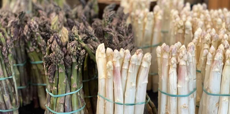 Asperges vertes et blanches fraîchement récoltées