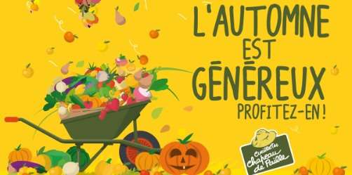 OFFRE EXCEPTIONNELLE : On vide les champs et verger avant la fin de la saison !!