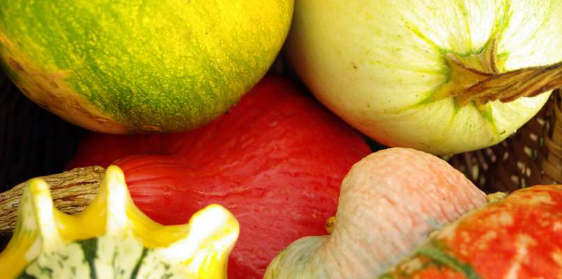 courges
